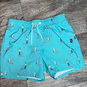 Hollister Aqua Swim Shorts